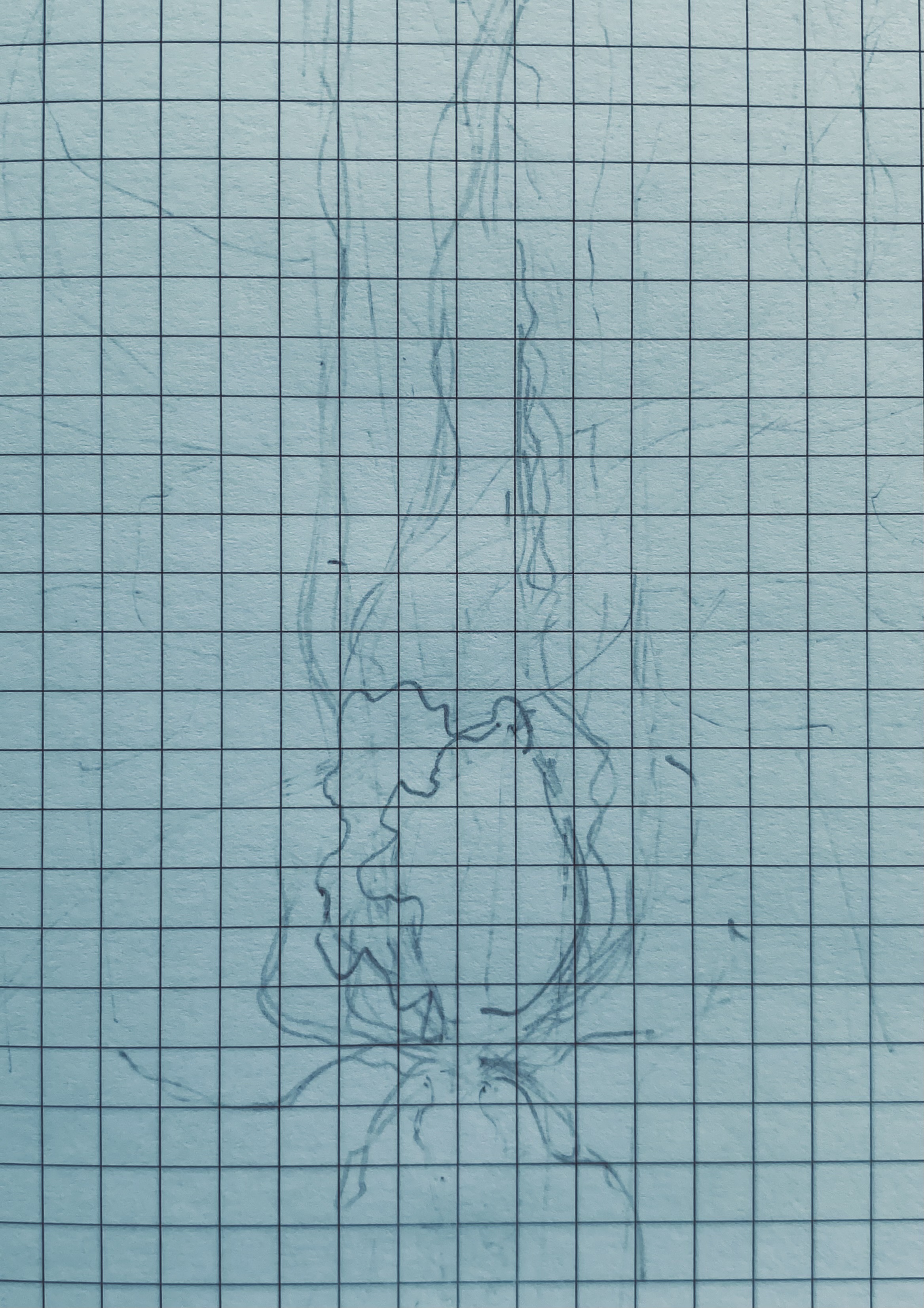 Flora IV