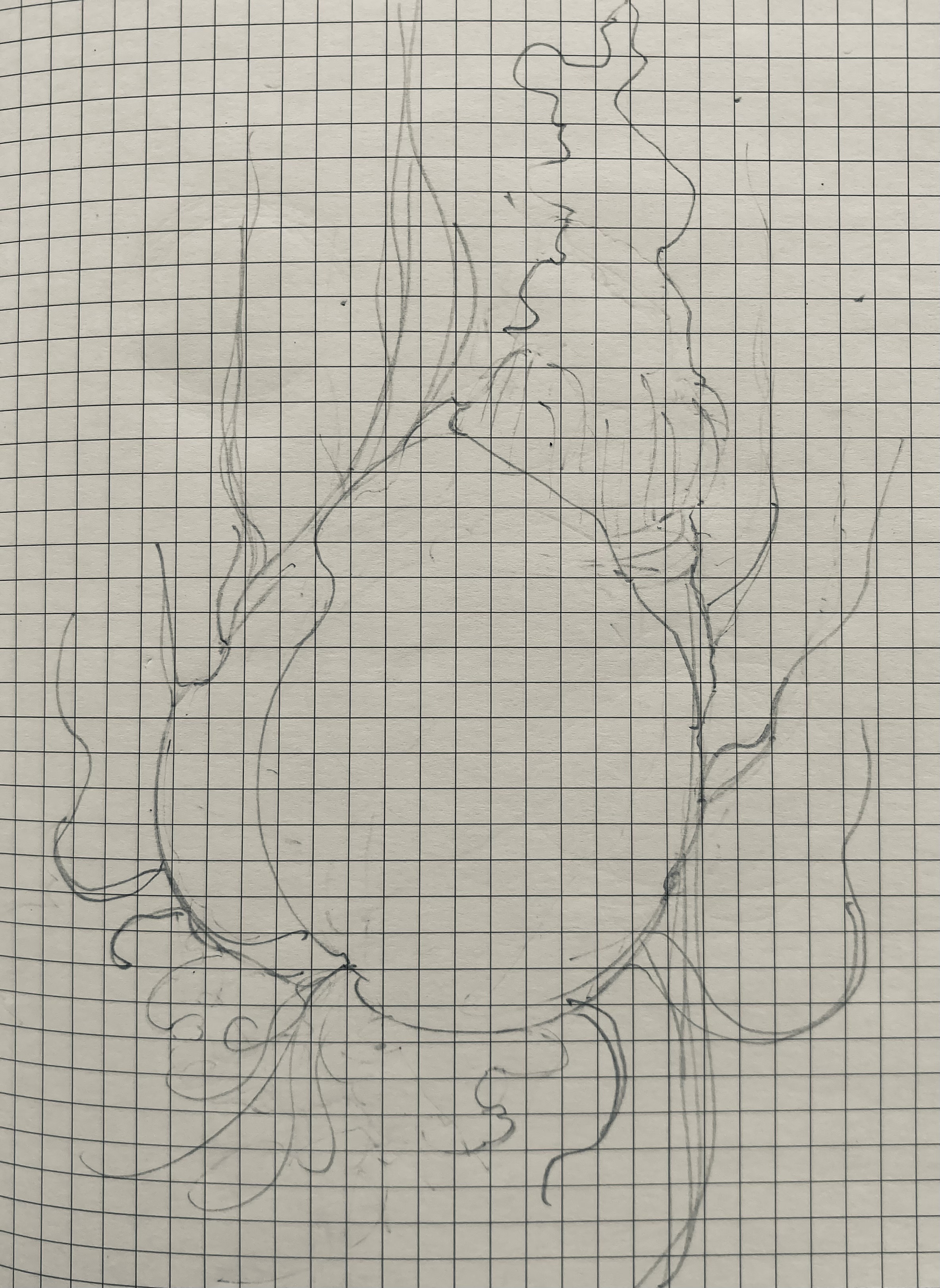 Flora IV