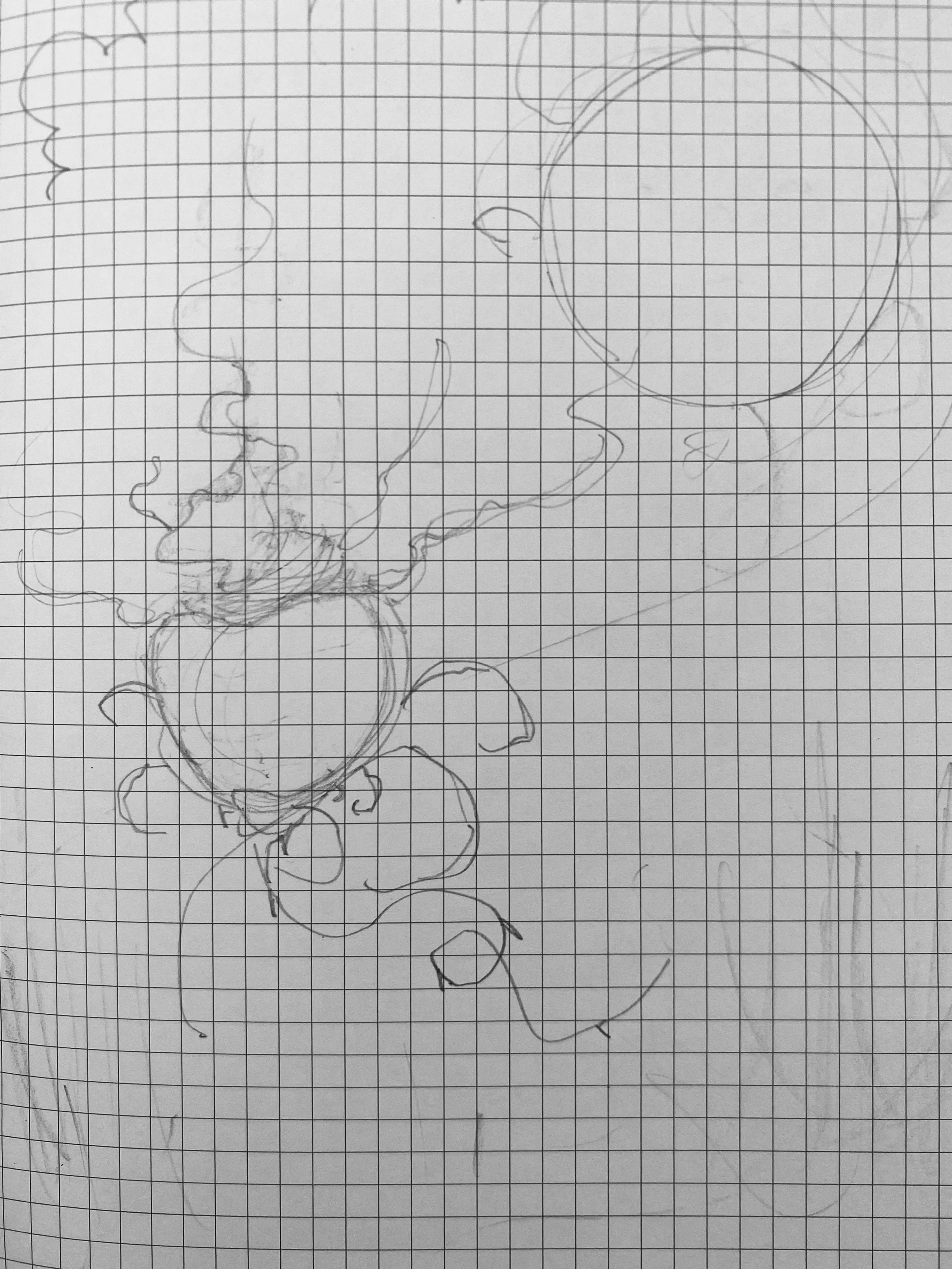 Flora IV