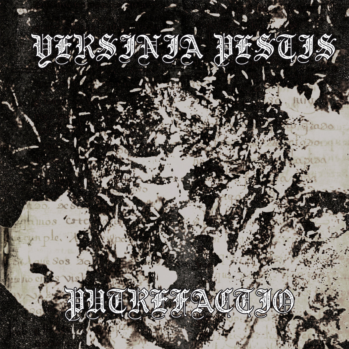 YERSINIA PESTIS - Putrefactio LP