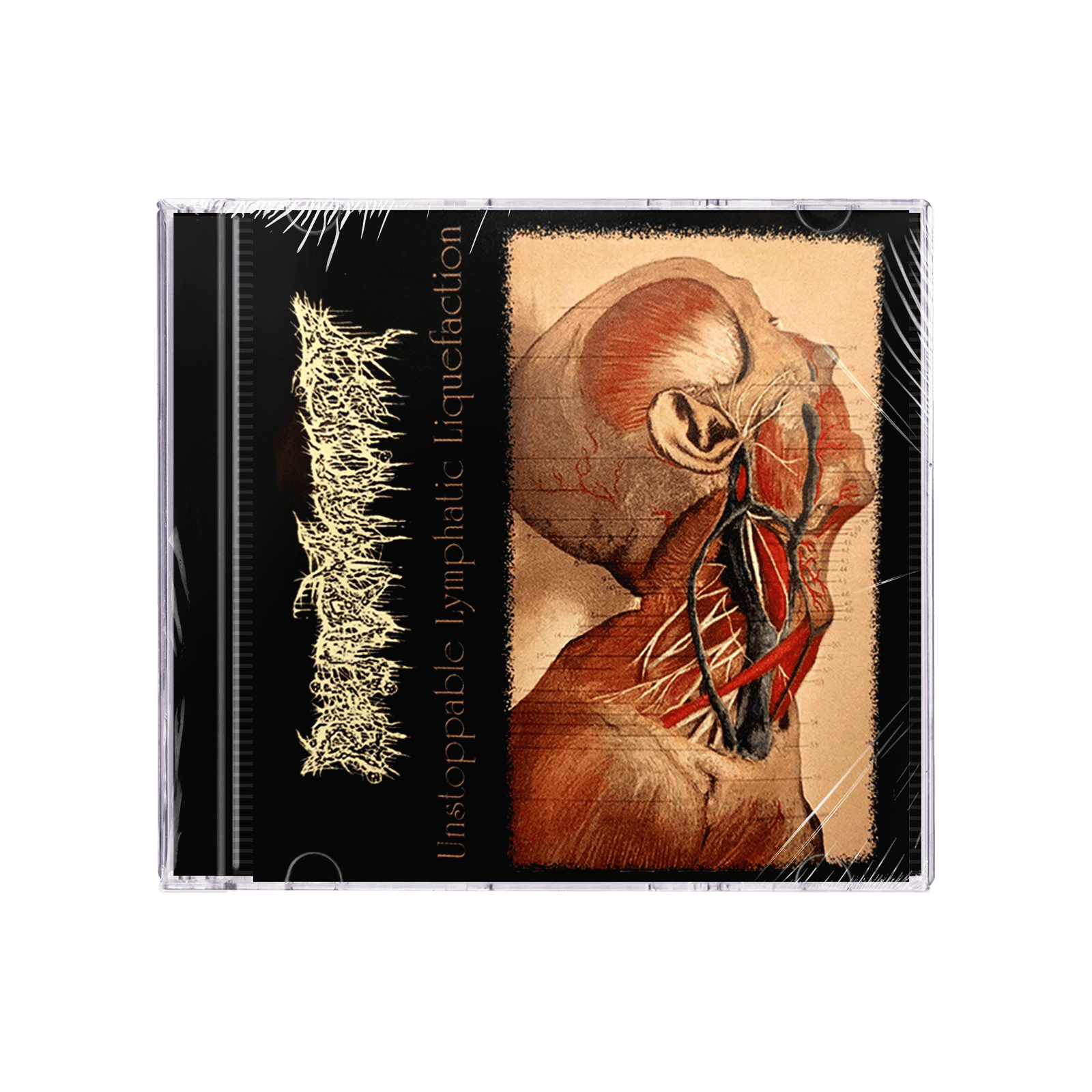 Expurgo / Pharmacist 'Enthropic Breath / Unstoppable Lymphatic Liquefaction (Split)' Mini CD