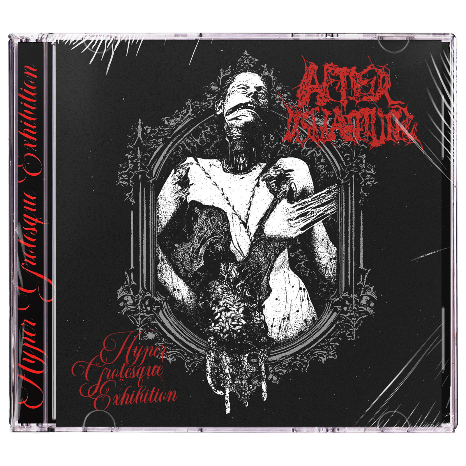 AfterDismantling 'Hyper Grotesque Exhibition' CD