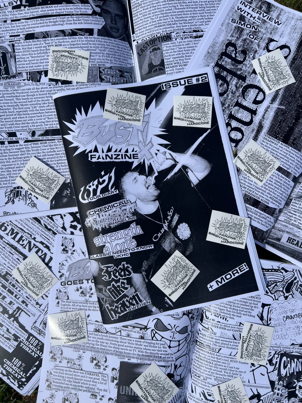 Bust! fanzine #2