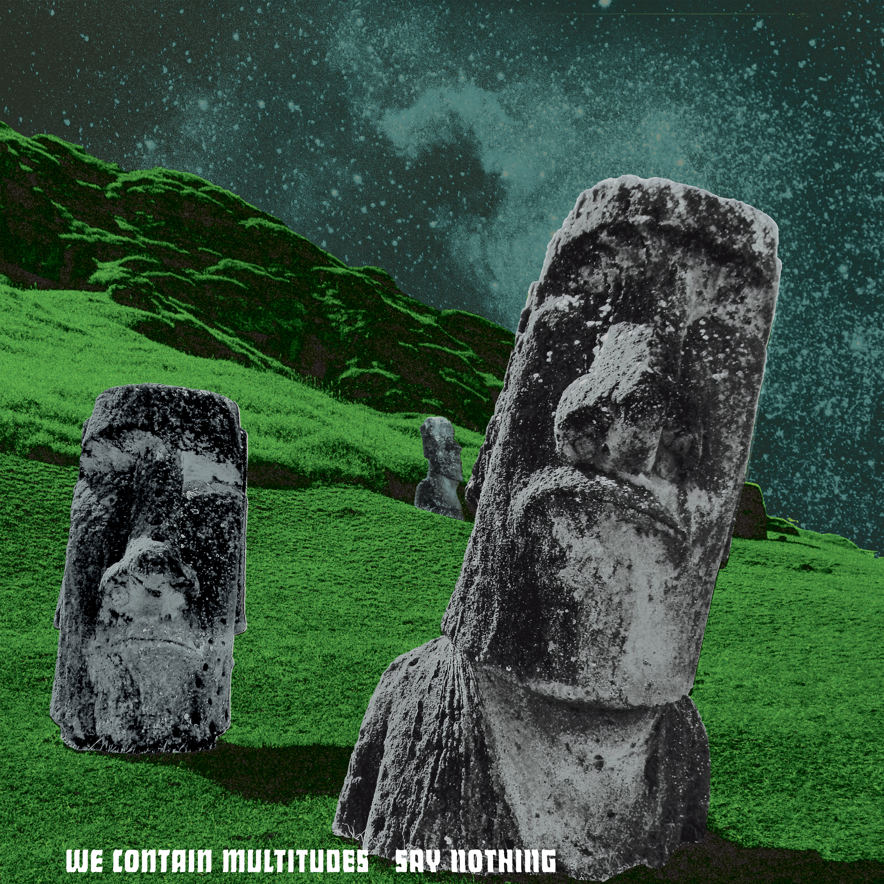 WE CONTAIN MULTITUDES - Say Nothing LP