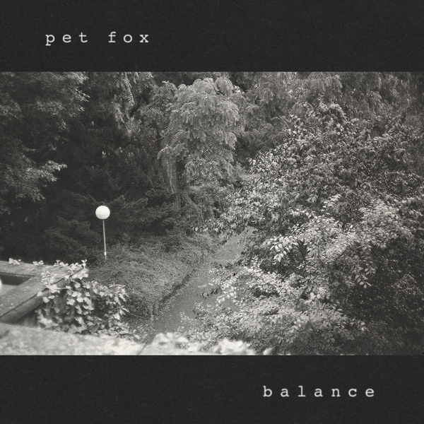 Pet Fox - Balance