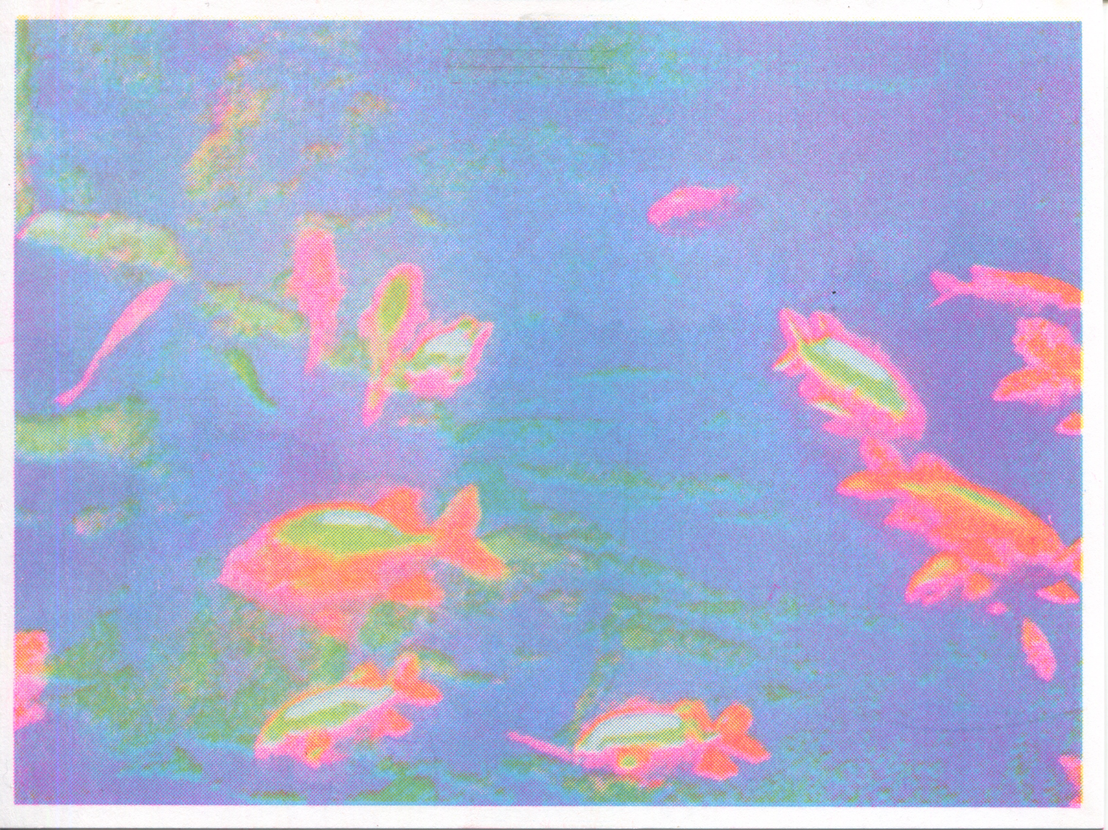 GLOW FISH