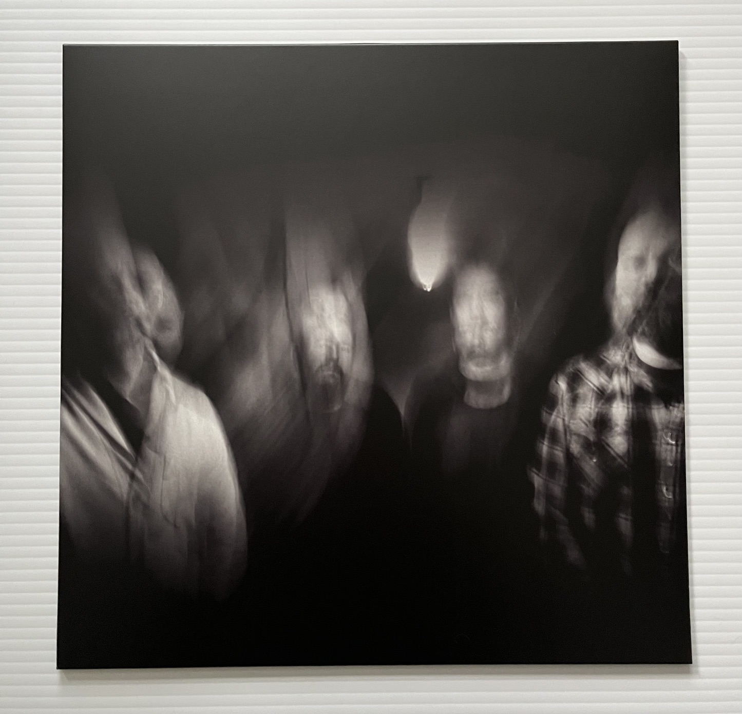Gift Horse- Absence