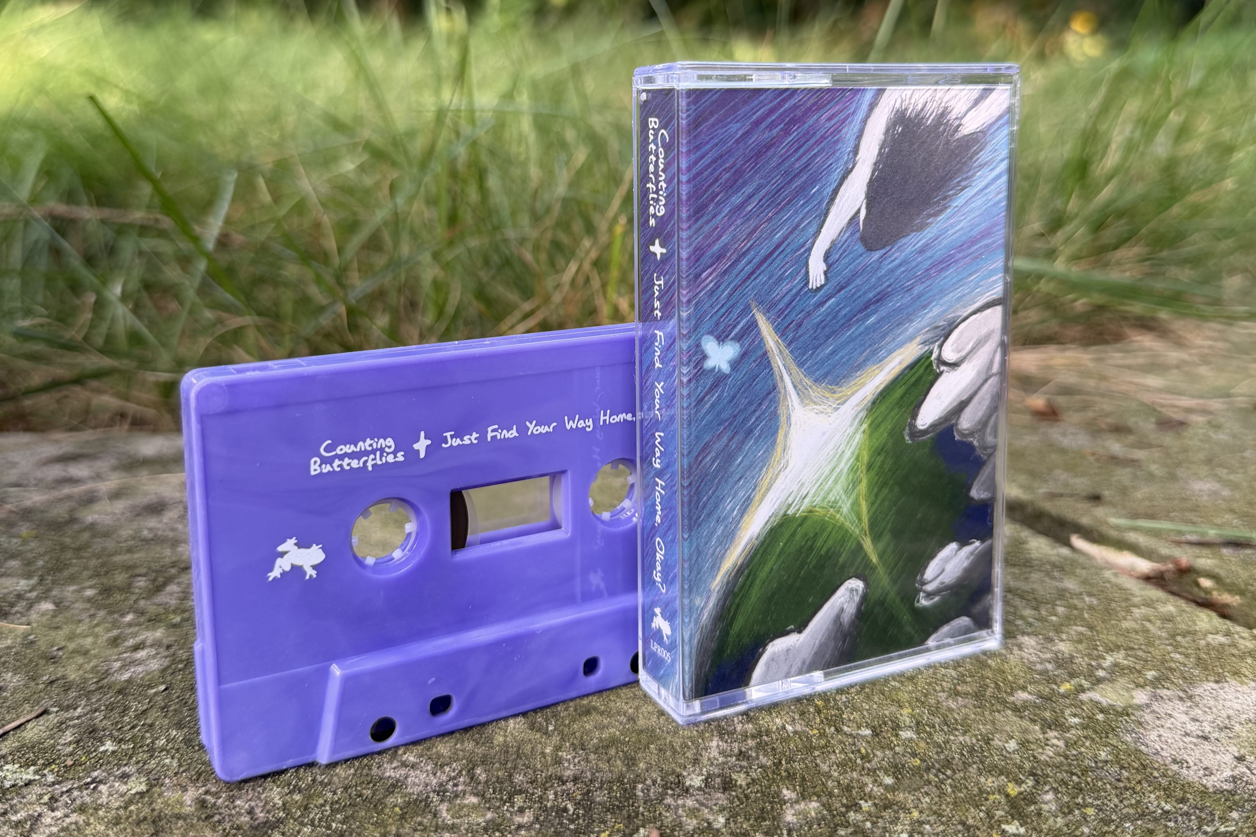 Counting Butterflies - Just Find Your Way Home, Okay? - LPR 005