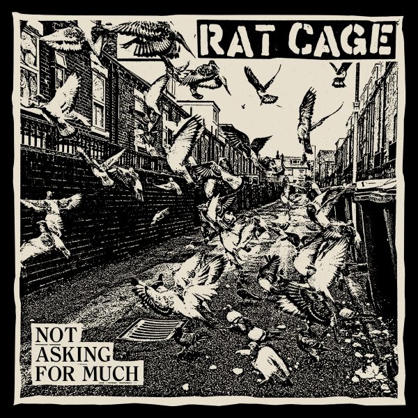 RAT CAGE - Not Asking For Much LP