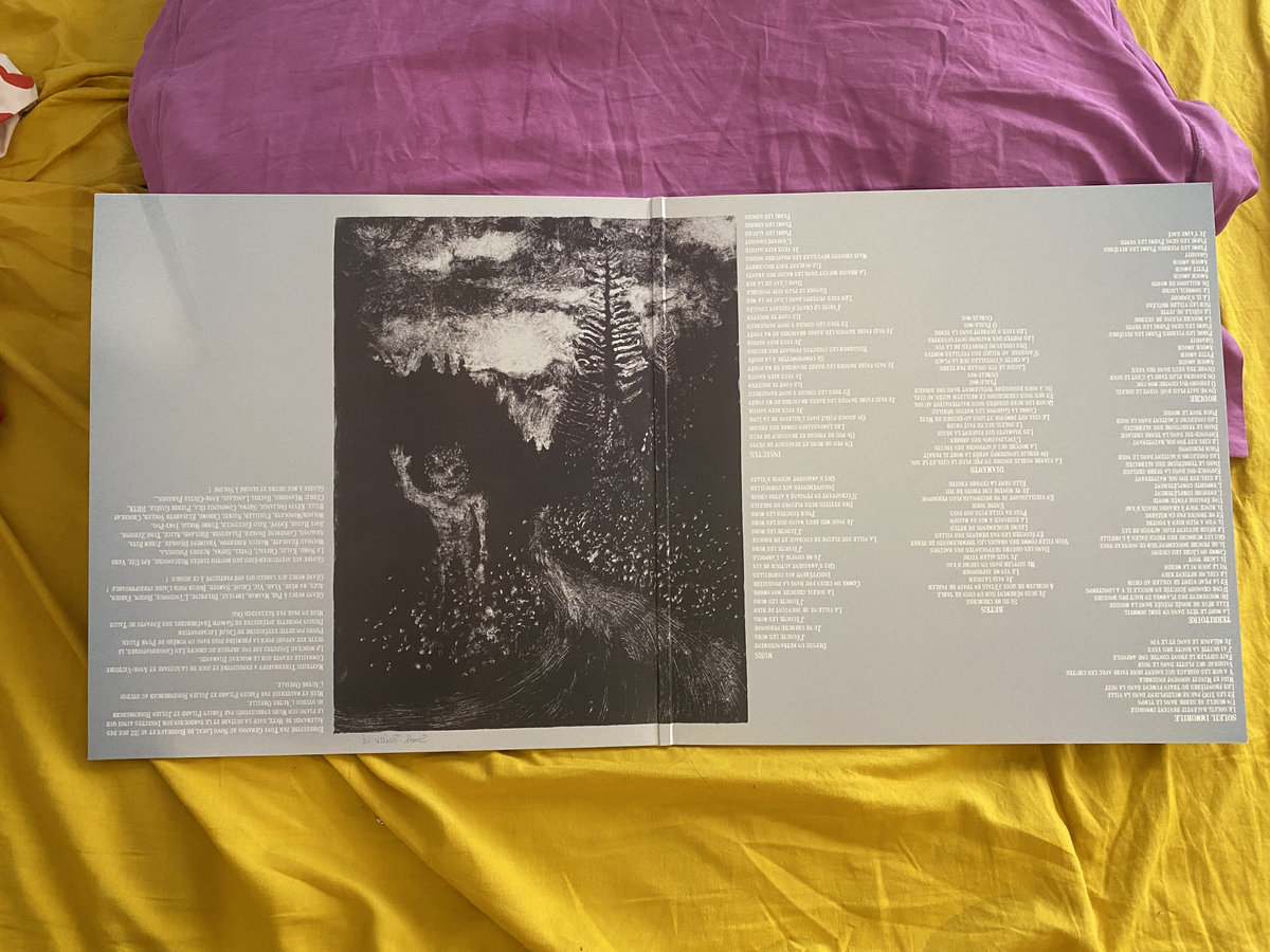 TONNY GERANNO - Seille