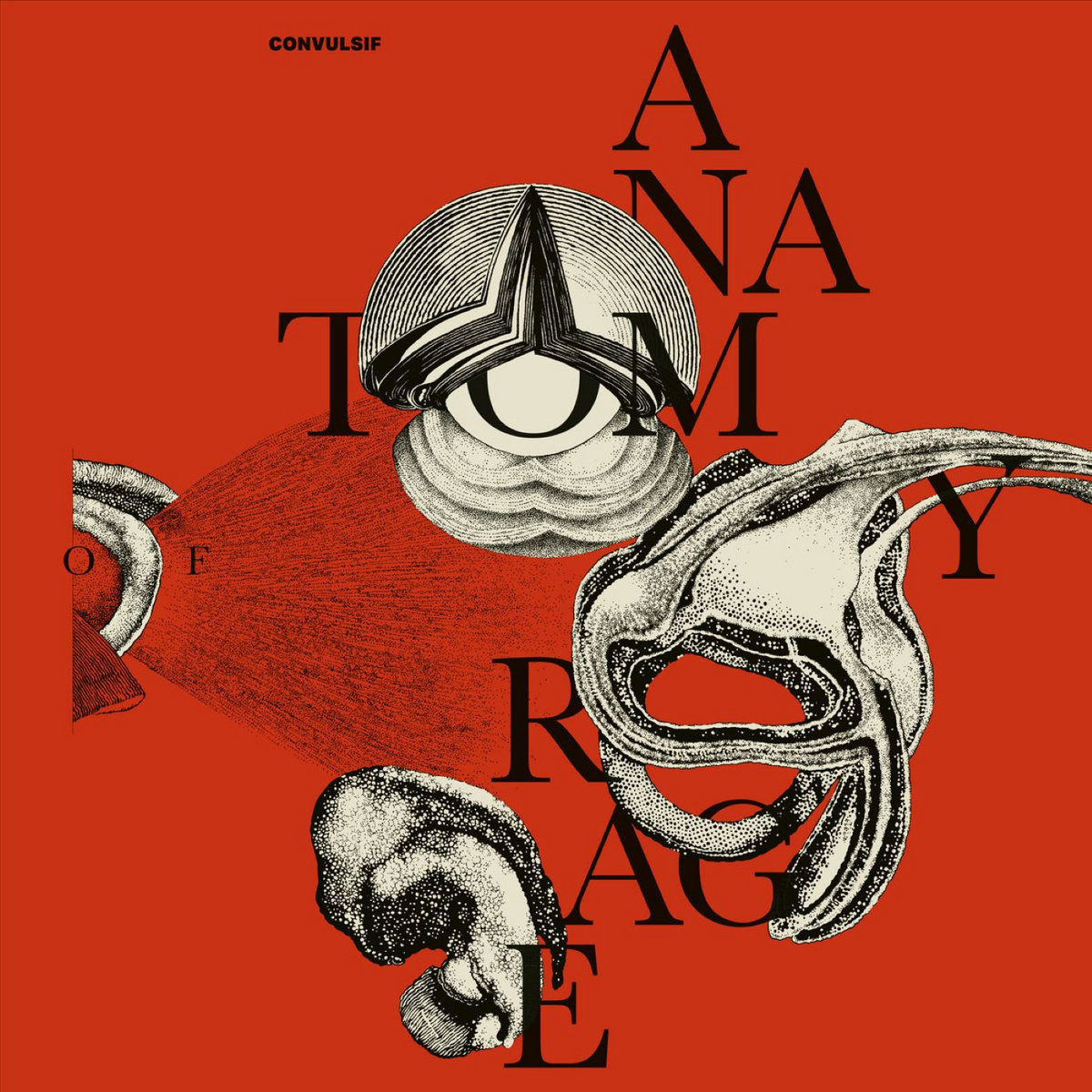 CONVULSIF - Anatomy Of Rage