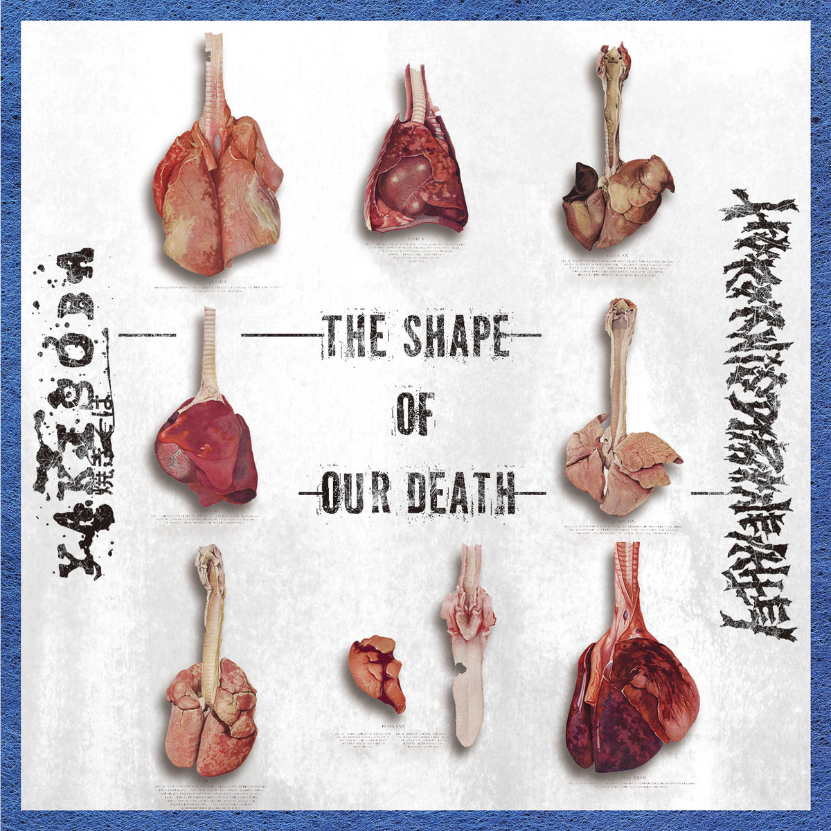 Yakisoba / Horornisdiphonevalley - The Shape Of Our Death (CD, 2024)