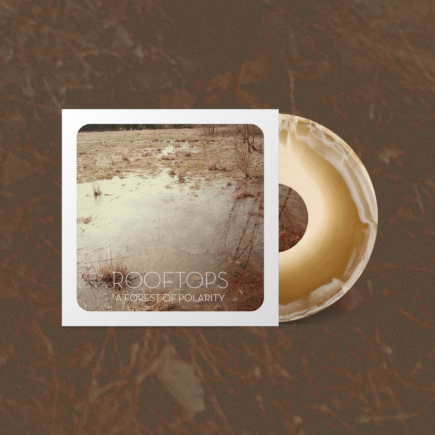 Product shots of Rooftops - A Forest of Polarity